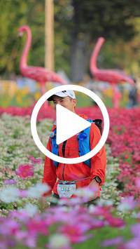 BIB:  <button type="button" onclick="openModal(27583028)" class="btn btn-primary btn-sm float-right" data-toggle="modal" data-target=".modal-high-quality">
                <i class="fa fa-download"></i> Download
                </button>